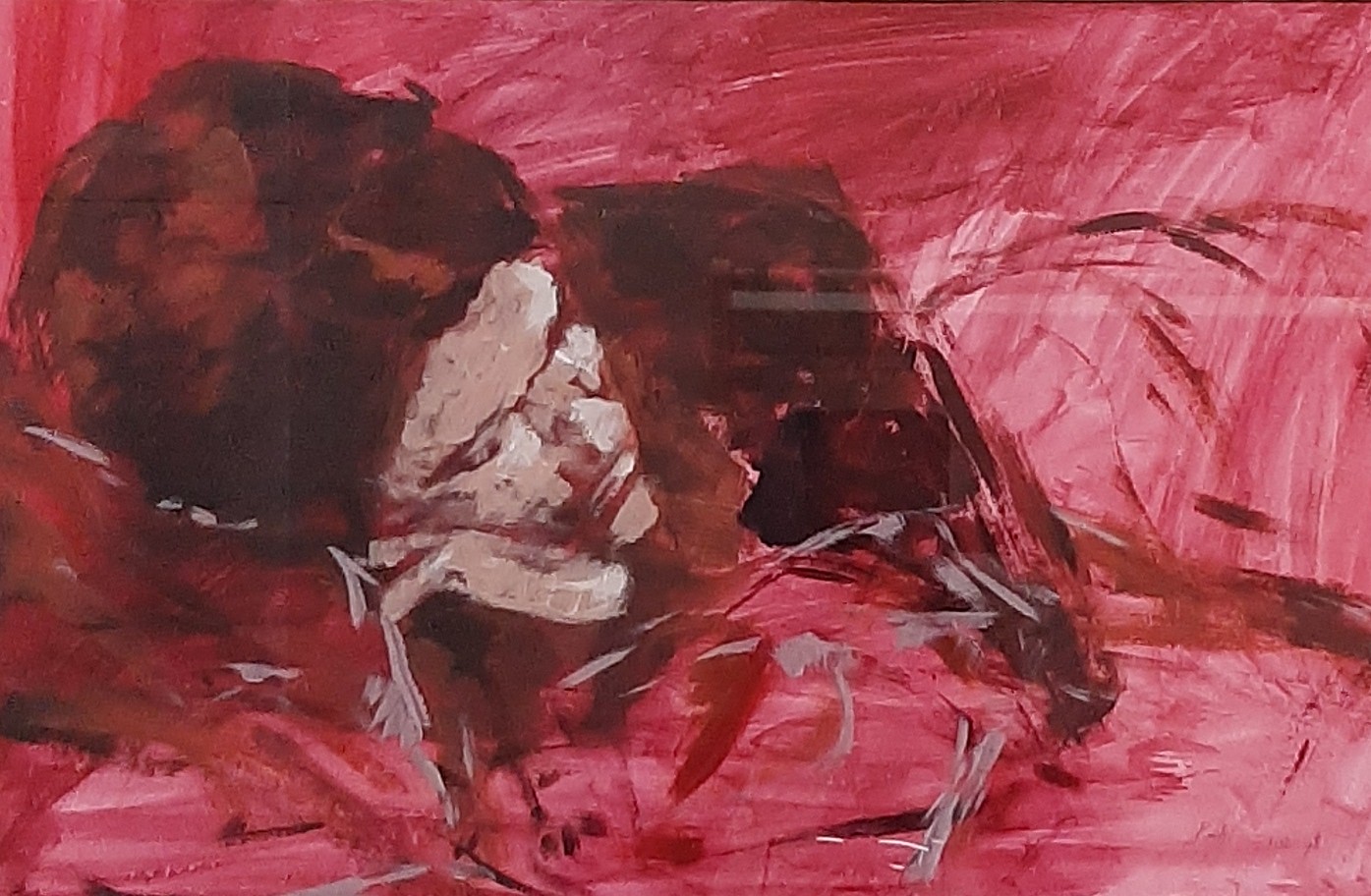 Feenstra, Dimitri – Z.T.2