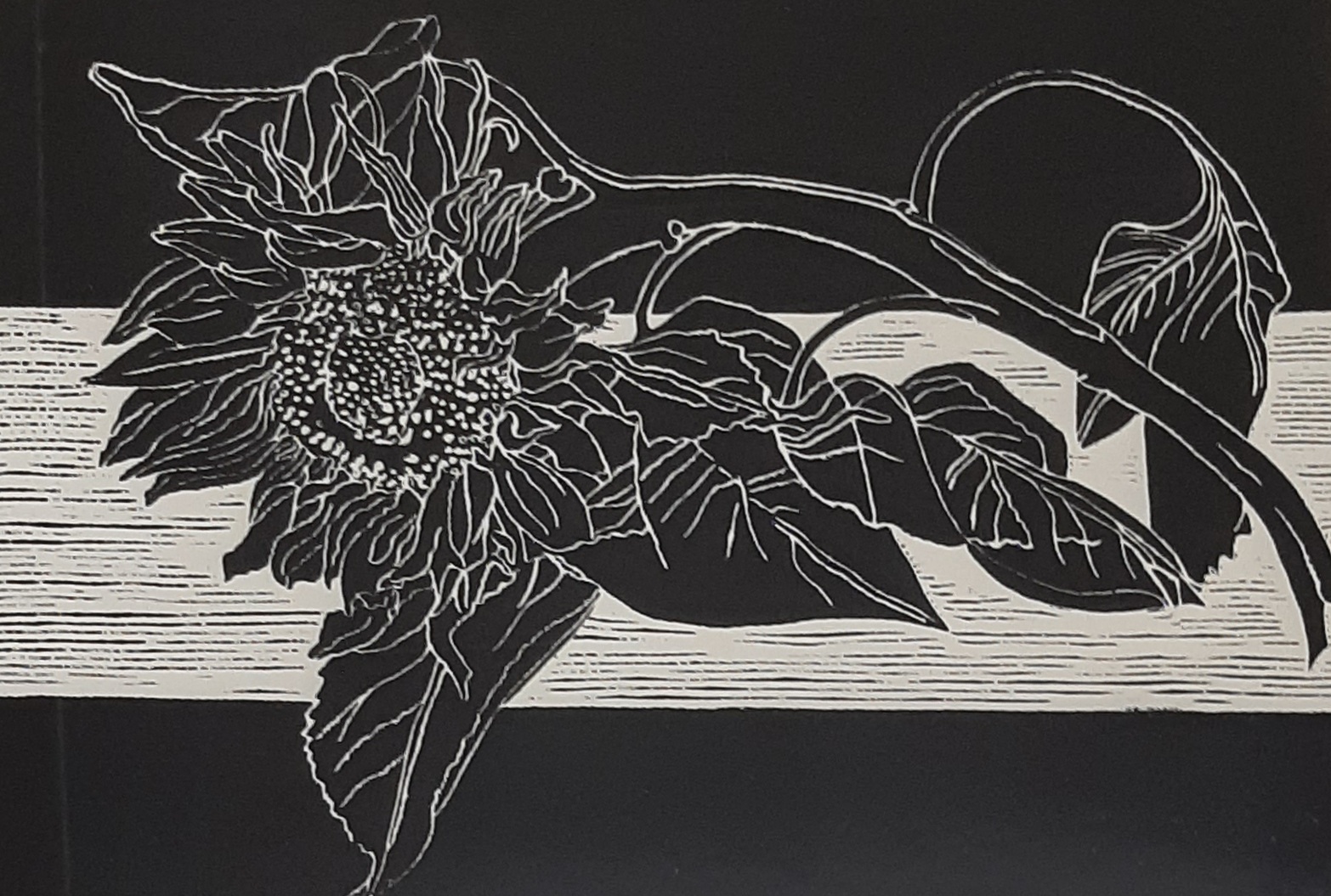 Kluivers, Beatrice – Verwelkte zonnebloemen