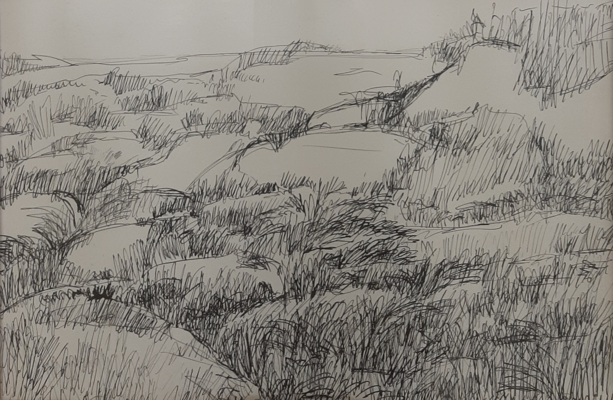 Koelman, B. – Gevecht tegen het tedere landschap, nr. 1 heuvels