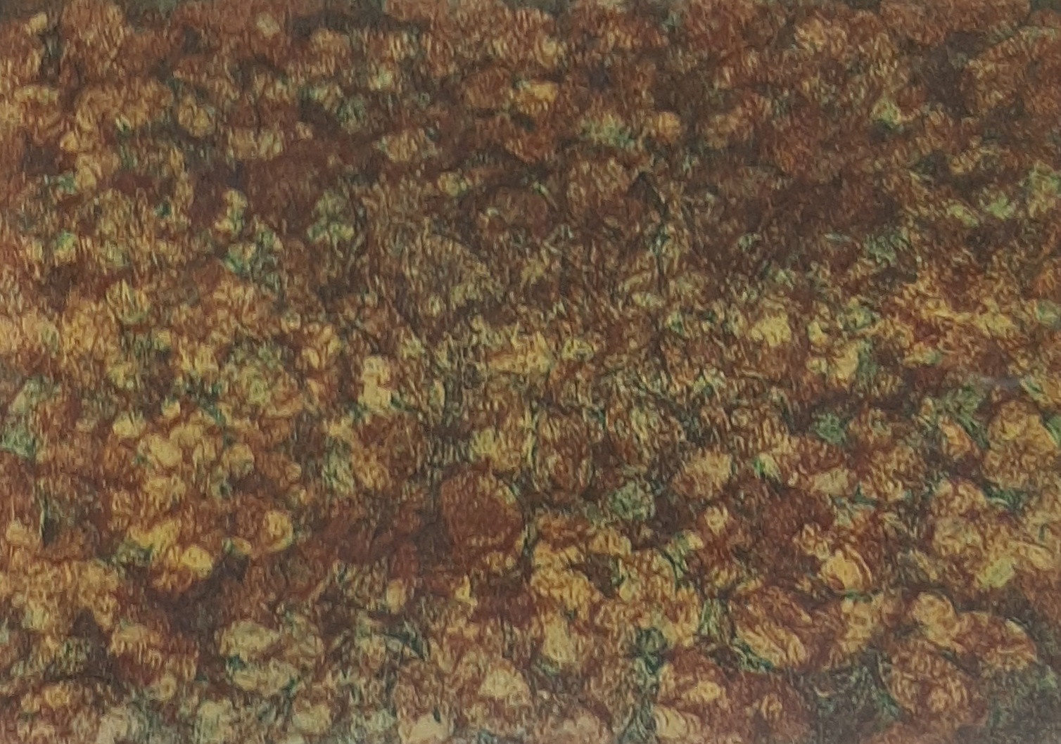 Wittenrood, Paulien – Metamorfose van bosgrond in de herfst I
